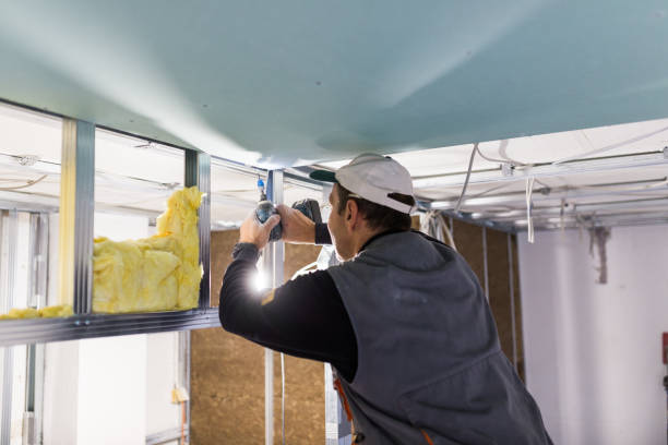 Best Insulation Maintenance and Repair in New Castle, CO